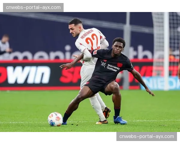 聚焦海登海姆主场球迷：小城球队如何营造德甲最佳氛围之一